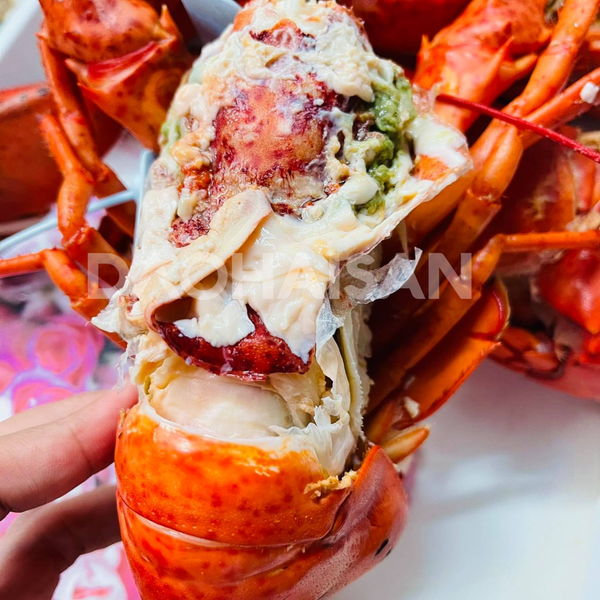 Tôm Hùm Alaska Nhỏ - 570,000đ