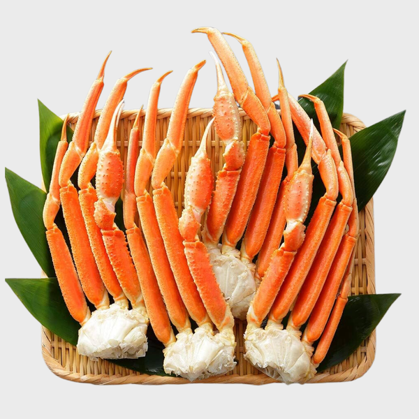 chan cua tuyet
