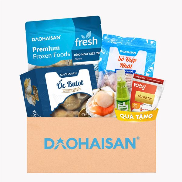 combo ngao so oc nhap khau