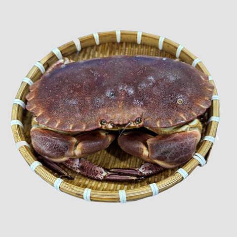 cuanausong