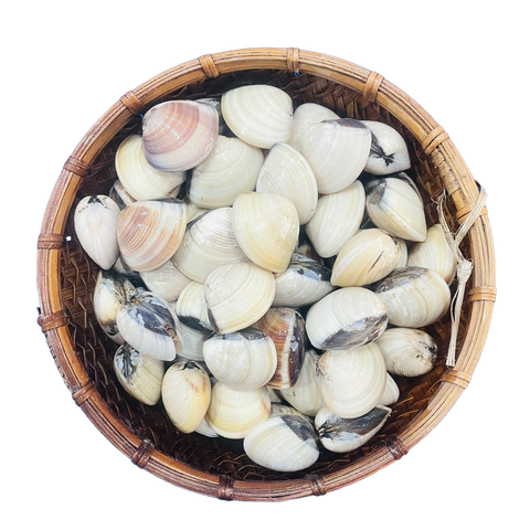 ngheutrangsongngao
