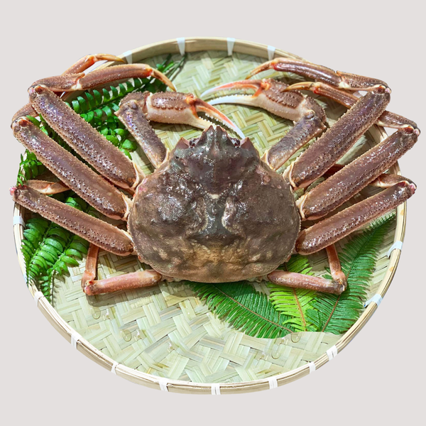 cua tuyet song