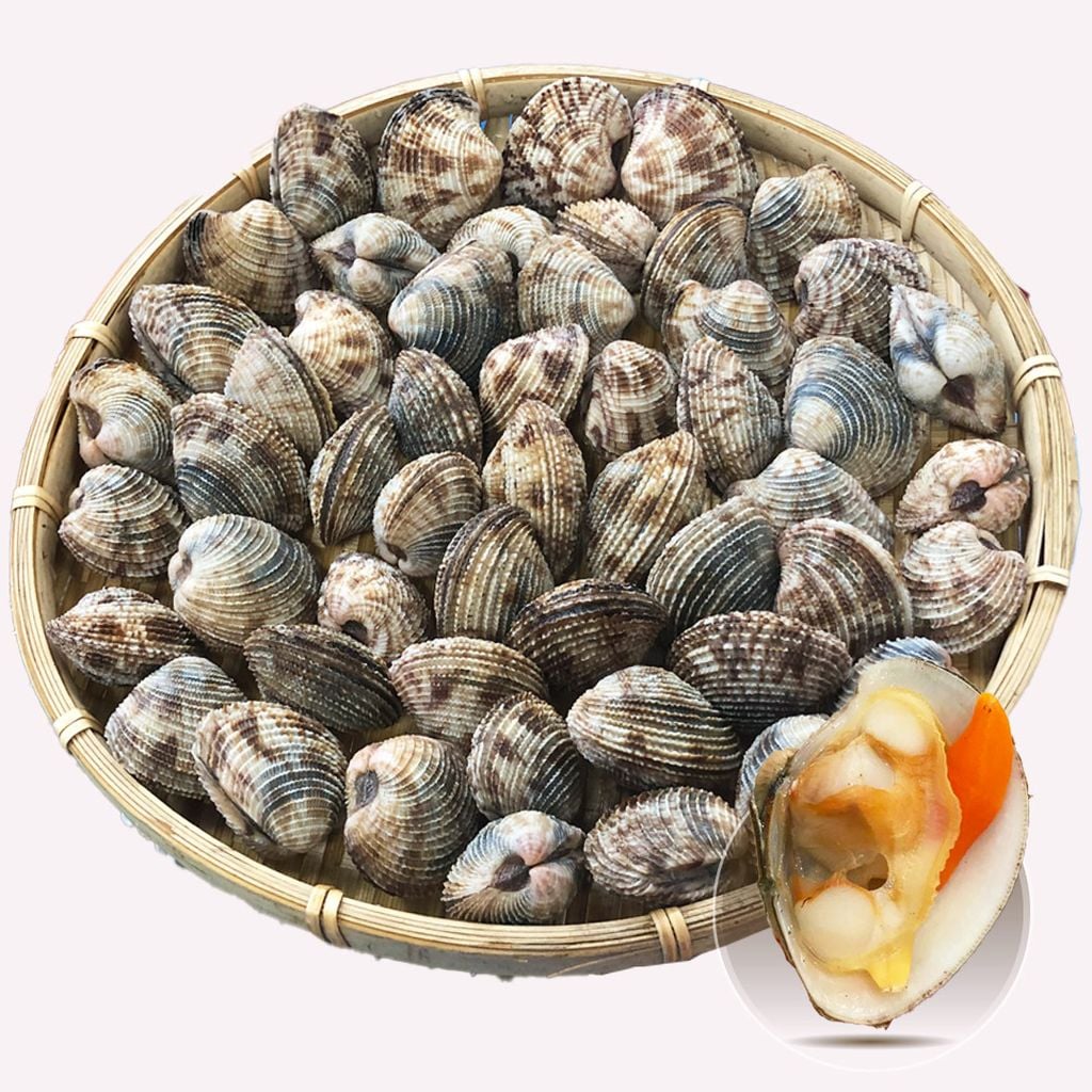 Ngao Sần Sống Lớn