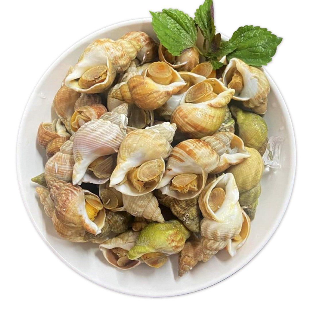 Ốc Bulot Pháp Ốc Bulot Pháp