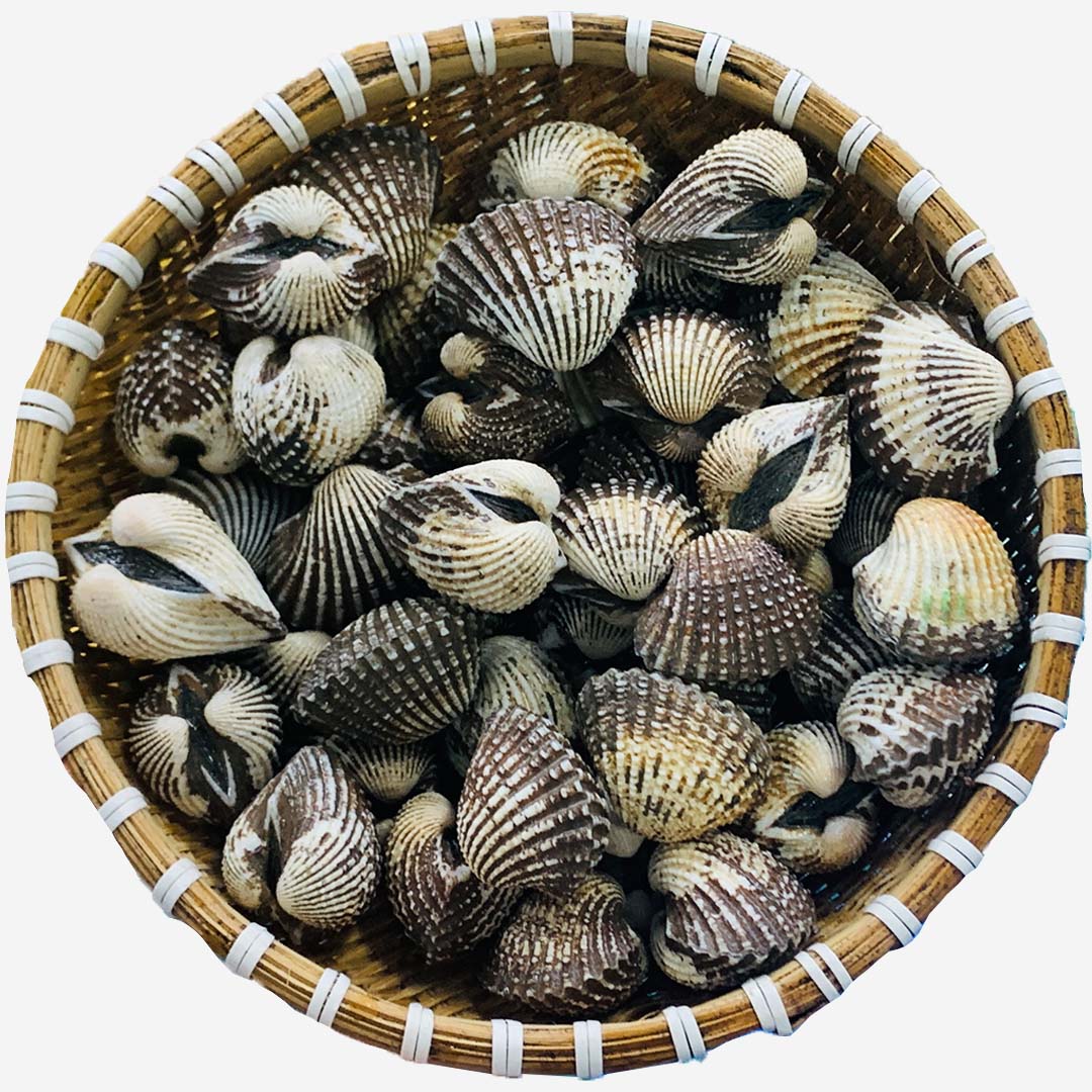 Sò Huyết Sống - GIAO NHANH TRONG 2H – DAOHAISAN