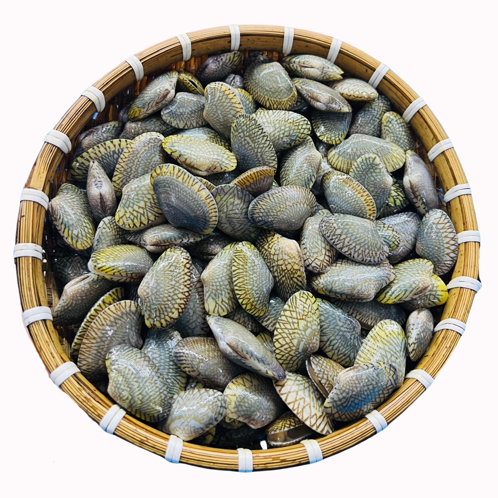 Ốc Chip Chip - Sò Lụa Sống