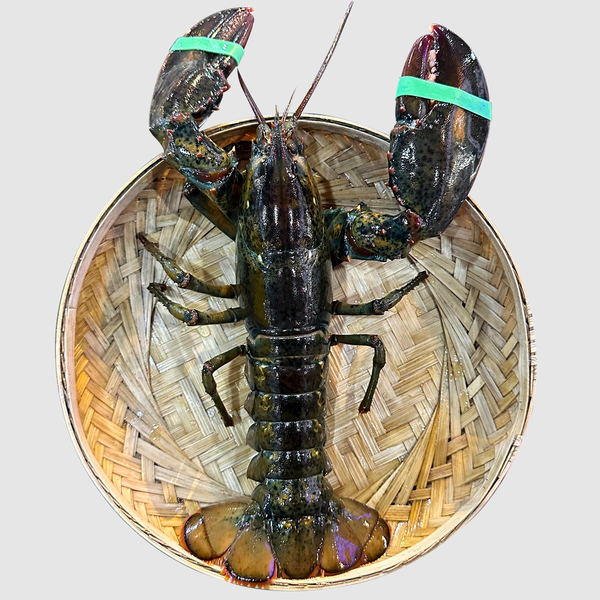 Tôm Hùm Alaska Nhỏ - 570,000đ