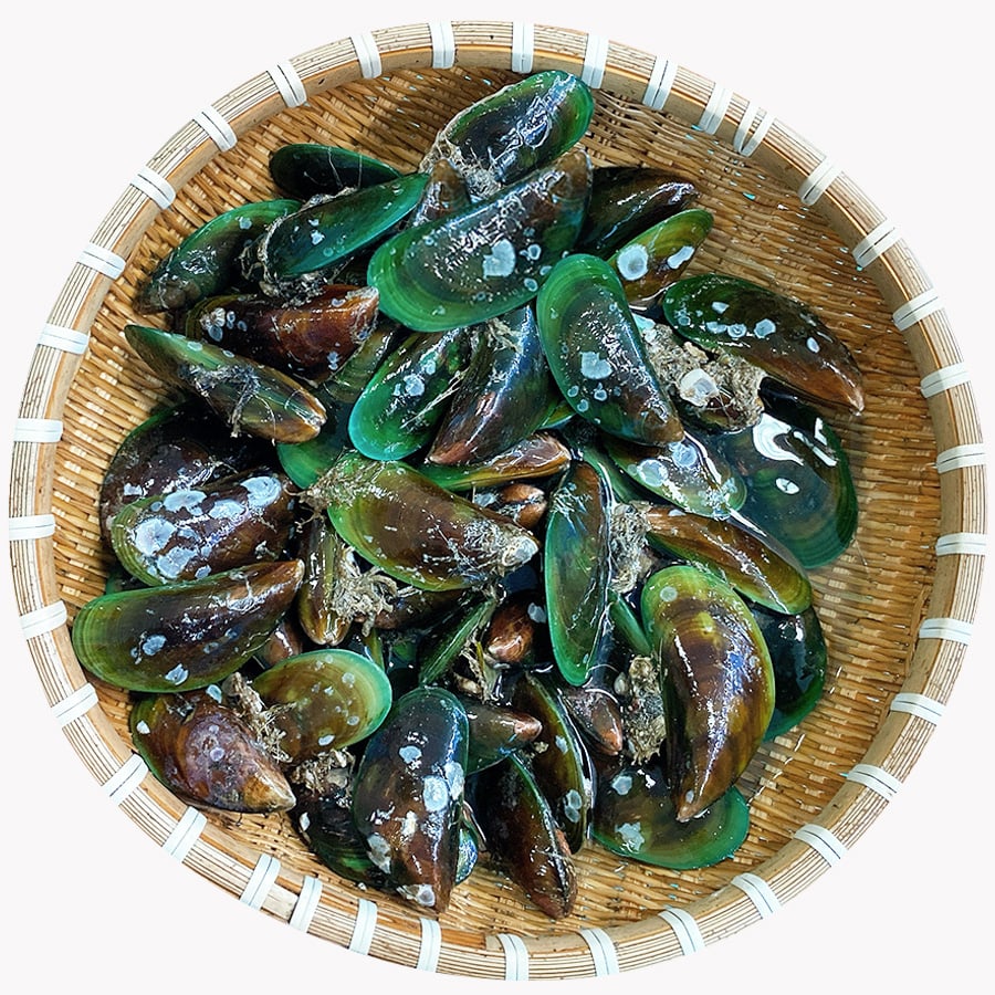 Vận Chuyển Vẹm Xanh Đông Lạnh Từ Khánh Hòa Đi Cảng