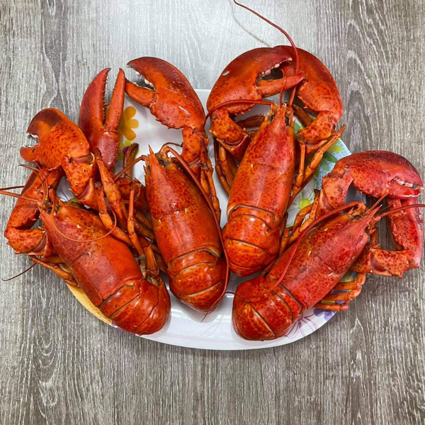 Tôm Hùm Alaska Nhỏ - 570,000đ