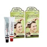  Thuốc nhuộm tóc Richenna phủ bạc dạng gội EZ speedy hair color-EX (60/60g) 