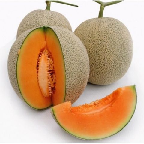 Hạt giống dưa lưới vàng F1 - 1gr