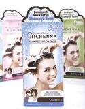  Thuốc nhuộm tóc Richenna phủ bạc dạng gội EZ speedy hair color-EX (60/60g) 