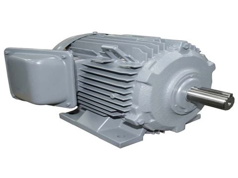 Động cơ điện 3 pha chân đế Hitachi 1HP-TFO-K-4P-IP55 380V
