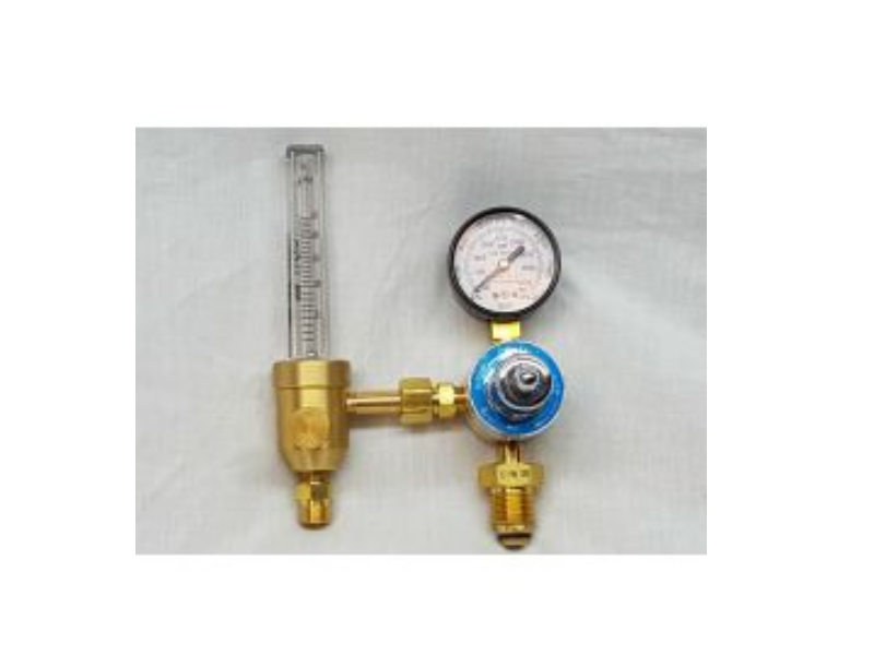 Đồng Hồ Argon Generico 195-Ar