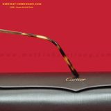  KÍNH MÁT CARTIER CT0083S-003 61-16 