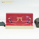  GỌNG KÍNH CARTIER CT0254O-001 57-15 