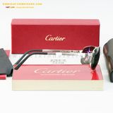  KÍNH MÁT CARTIER SANTOS 3536298 62-18 
