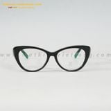  GỌNG KÍNH ROGELI RAC3015-C2 53-18 