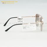  KÍNH MÁT HG 7309-G0 60-15 