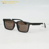  KÍNH MÁT HG 7264-AO 56-17 