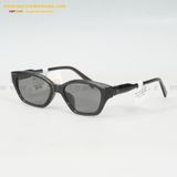  KÍNH MÁT HG 7269-PPE 53-19 