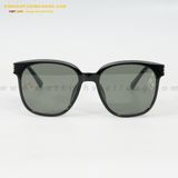  KÍNH MÁT HG 7302-AEE 54-19 