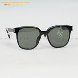  KÍNH MÁT HG 7302-AEE 54-19 