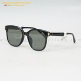  KÍNH MÁT HG 7302-AEE 54-19 