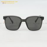  KÍNH MÁT HG 7301-E 54-19 