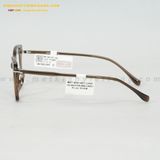  GỌNG KÍNH LUCKY PLK6880-C3 53-16 