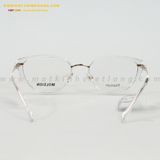  GỌNG KÍNH MOLSION MA6029-B93 52-19 