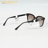  KÍNH MÁT HG 7307-AO 52-21 