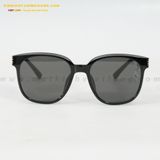  KÍNH MÁT HG 7302-A 54-19 