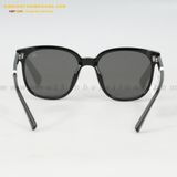  KÍNH MÁT HG 7302-A 54-19 