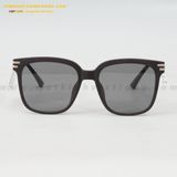  KÍNH MÁT HG 7304-IE 58-16 