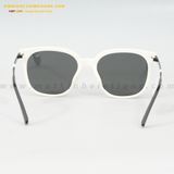  KÍNH MÁT HG 7303-WE 54-19 