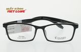  GỌNG KÍNH REGARD RG843-BK 54-16 