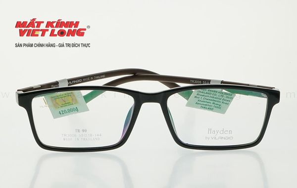  GỌNG KÍNH HAYDEN TR3006-C14 55-18 