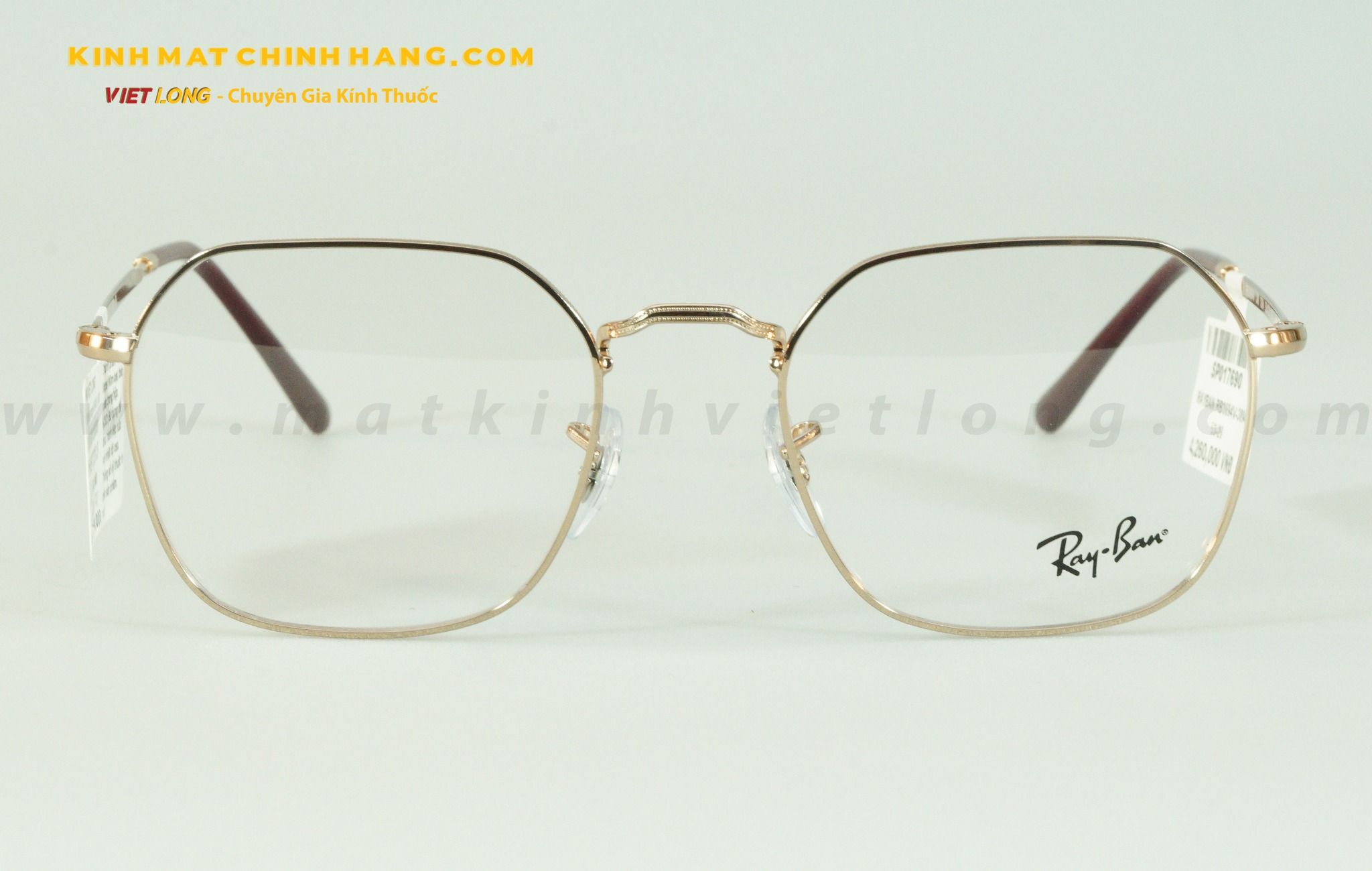  GỌNG KÍNH RAYBAN RB3694V-3094 53-20 