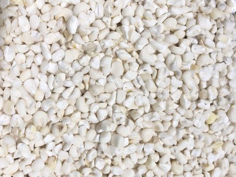  Bắp trắng ( ngô ) 