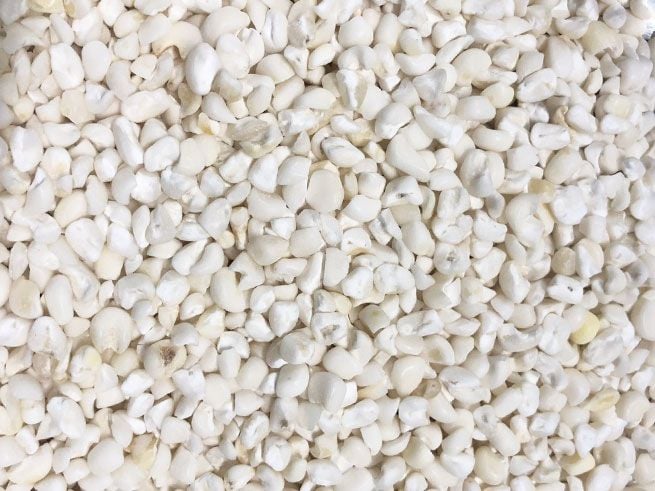  Bắp trắng ( ngô ) 