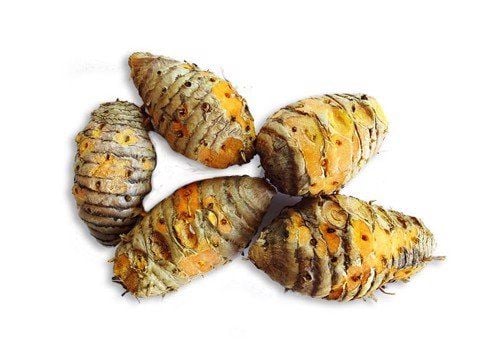 nghe-tuoi-lam-tinh-bot