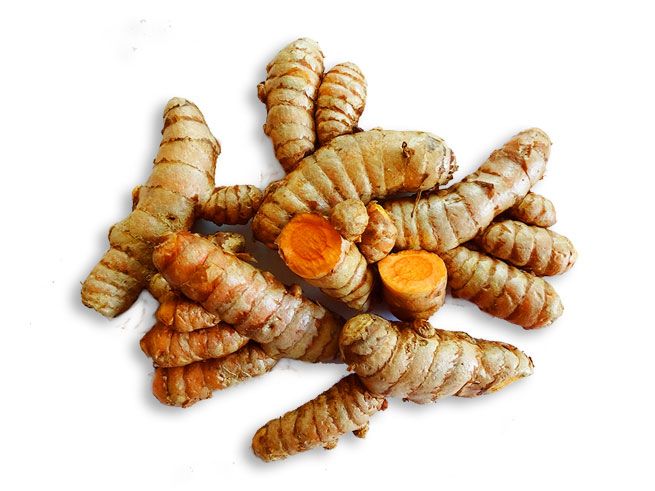 Ăn nghệ nếp đỏ tươi có ích gì với dạ dày - Lợi ích và cách sử dụng hiệu quả