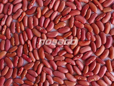  Đậu đỏ tây - hạt lớn 