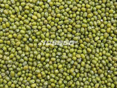  Đậu xanh hạt 