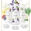 Bộ 3 chai sữa tắm Olay Essential Botanicals Body Wash