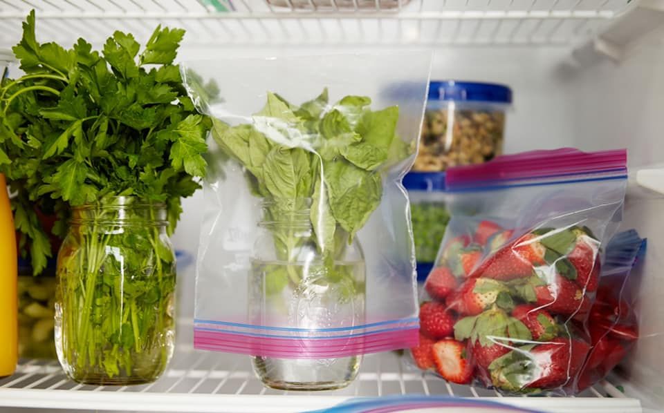 Túi Ziploc đựng thực phẩm
