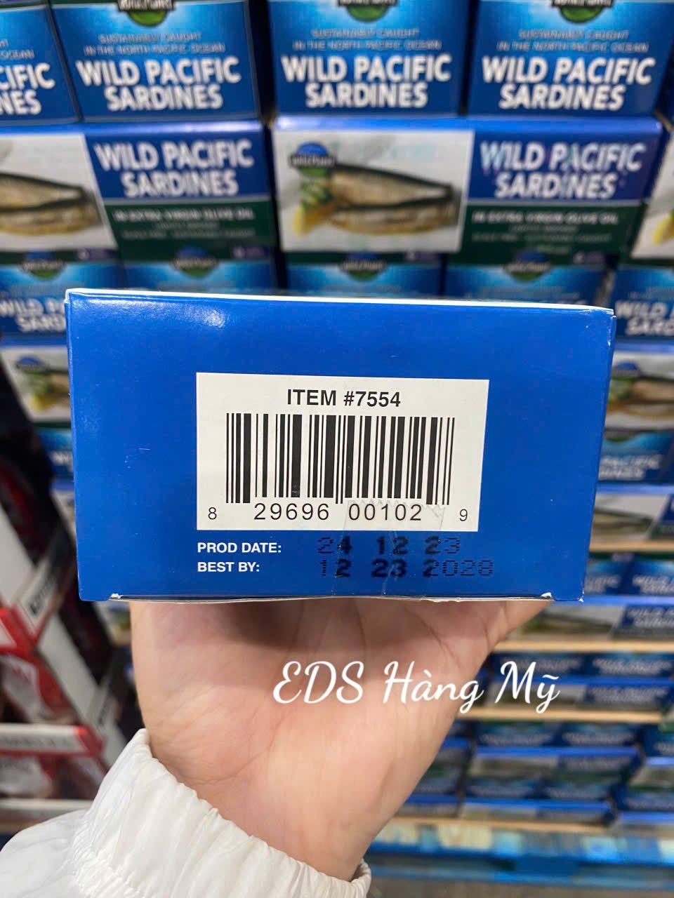 Cá trích ngâm dầu oliu Wild Planet Wild Pacific Sardines