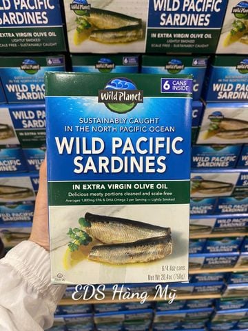  Cá trích ngâm dầu oliu Wild Planet Wild Pacific Sardines 