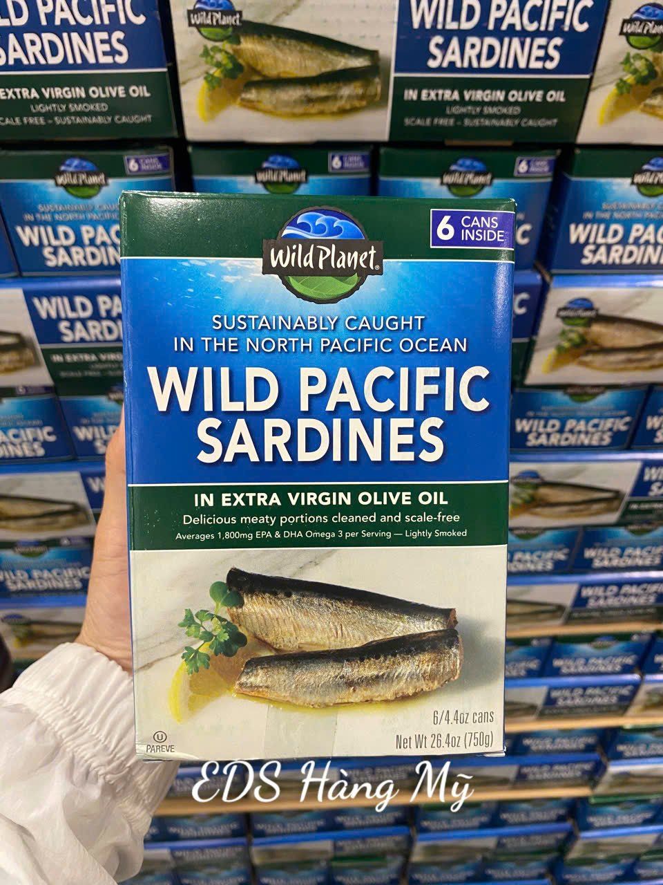 Cá trích ngâm dầu oliu Wild Planet Wild Pacific Sardines
